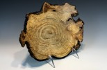 Ash burl #54-10 (13.75" wide x 2" high $155) VIEW 2